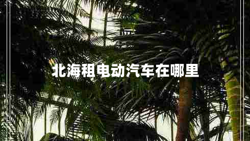 北海租電動(dòng)汽車(chē)在哪里