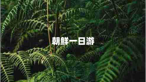 朝鮮一日游
