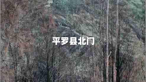 平羅縣北門(mén)