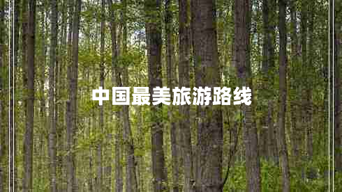 中國最美旅游路線