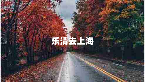 樂(lè )清去上海