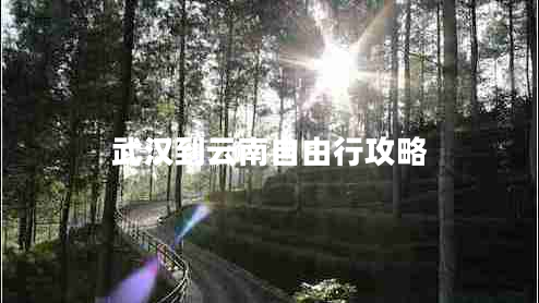 武漢到云南自由行攻略