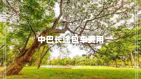 中巴長(cháng)途包車(chē)費用