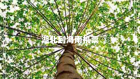 湖北到海南機(jī)票