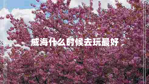 威海什么時候去玩最好