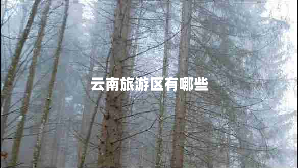 云南旅游區有哪些