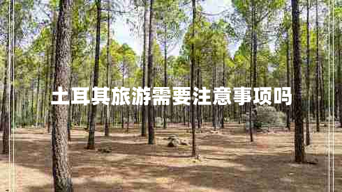 土耳其旅游需要注意事項(xiàng)嗎