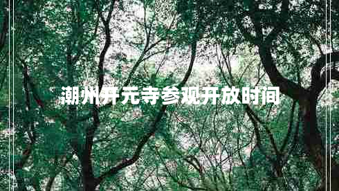 潮州開元寺參觀開放時間