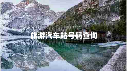 旅游汽車站號碼查詢