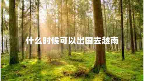什么時候可以出國去越南