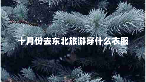 十月份去東北旅游穿什么衣服