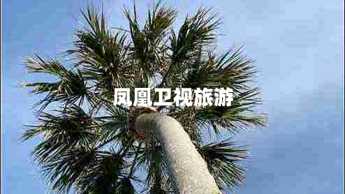 鳳凰衛視旅游