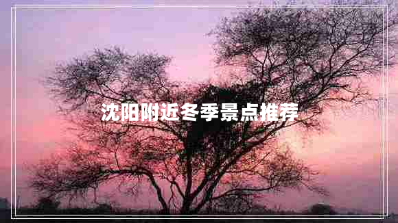 沈陽附近冬季景點推薦