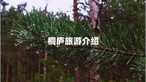 桐廬旅游介紹