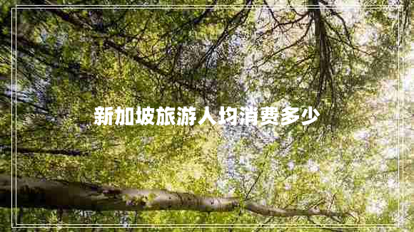 新加坡旅游人均消費(fèi)多少