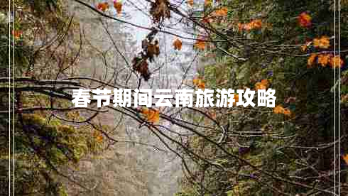 春節期間云南旅游攻略