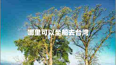 哪里可以坐船去臺灣