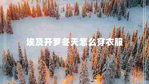 埃及開(kāi)羅冬天怎么穿衣服