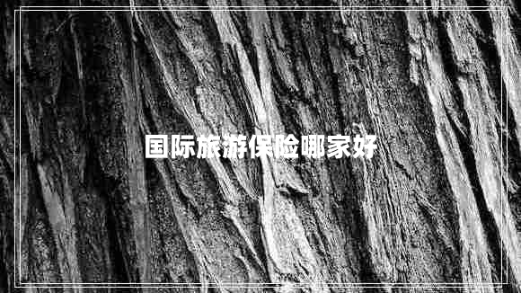 國際旅游保險哪家好