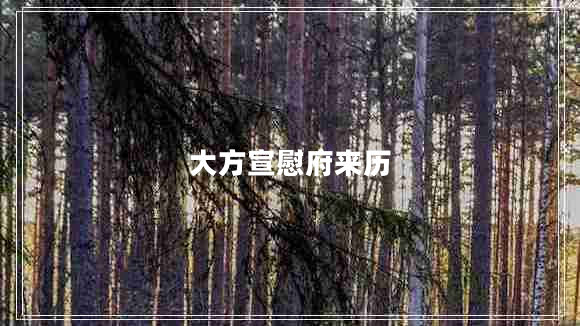 大方宣慰府來歷