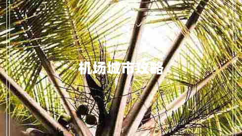 機場(chǎng)城市攻略