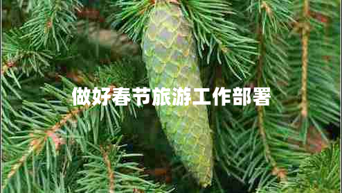 做好春節旅游工作部署