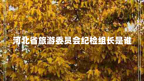 河北省旅游委員會紀檢組長是誰