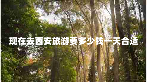 現在去西安旅游要多少錢(qián)一天合適