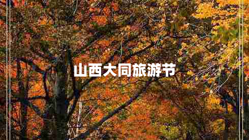 山西大同旅游節