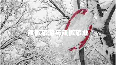 凱撒旅游與凱撒旅業(yè)
