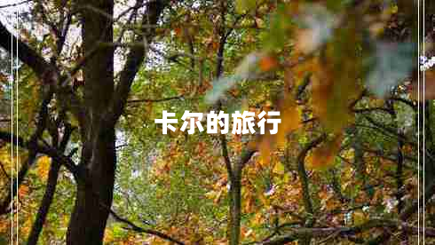 卡爾的旅行