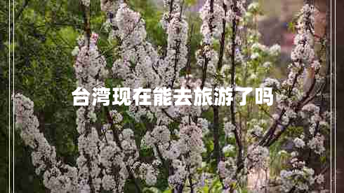 臺(tái)灣現(xiàn)在能去旅游了嗎
