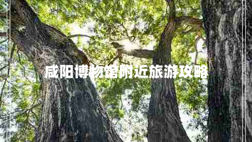 咸陽(yáng)博物館附近旅游攻略