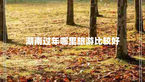 湖南過年哪里旅游比較好