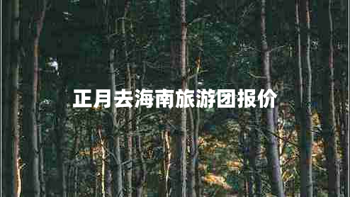 正月去海南旅游團(tuán)報(bào)價(jià)