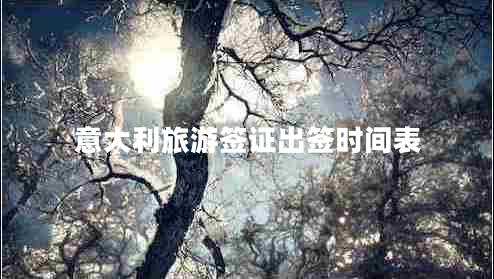 意大利旅游簽證出簽時間表