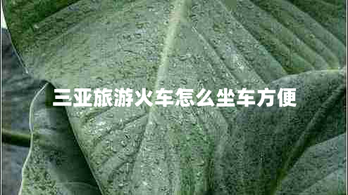 三亞旅游火車(chē)怎么坐車(chē)方便