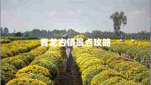 青龍古鎮景點(diǎn)攻略