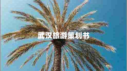 武漢旅游策劃書(shū)