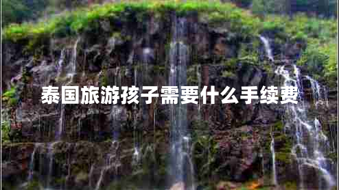 泰國旅游孩子需要什么手續(xù)費