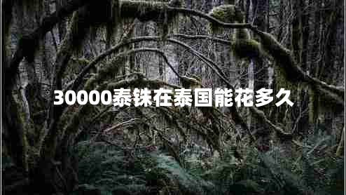 30000泰銖在泰國能花多久