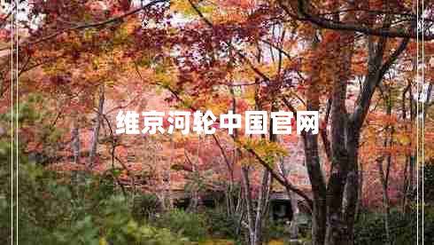 維京河輪中國(guó)官網(wǎng)