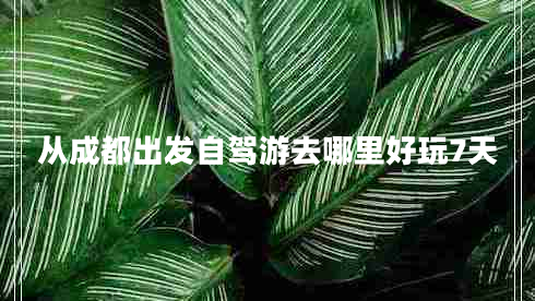 從成都出發(fā)自駕游去哪里好玩7天