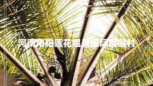 河南南陽蓮花溫泉國際度假村