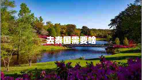 去泰國需要啥