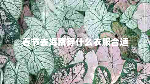 春節去海南穿什么衣服合適