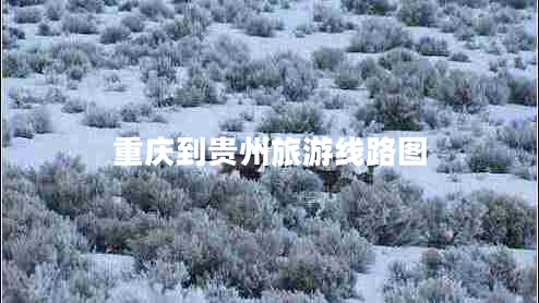 重慶到貴州旅游線(xiàn)路圖