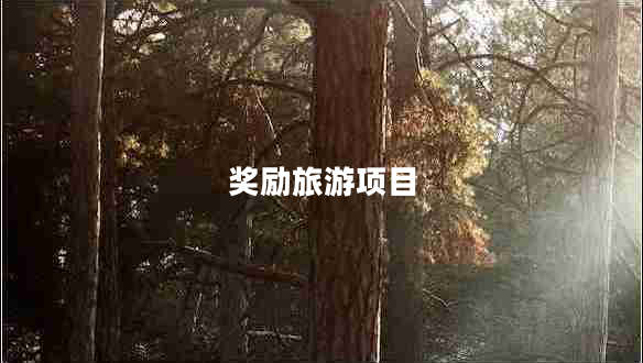 獎勵旅游項目