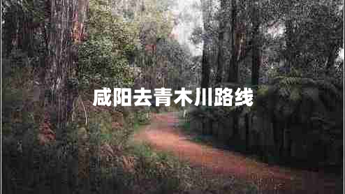 咸陽(yáng)去青木川路線(xiàn)