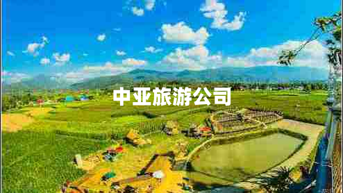 中亞旅游公司